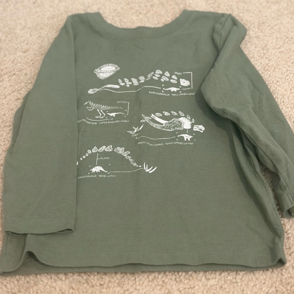 Cat & Jack Olive Dinosaur Long Sleeve Tee